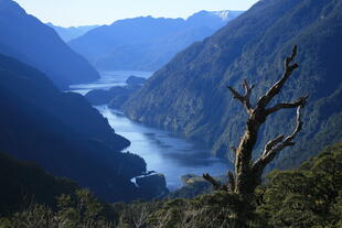 Doubtful Sound 