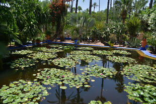 Jardins Majorelle