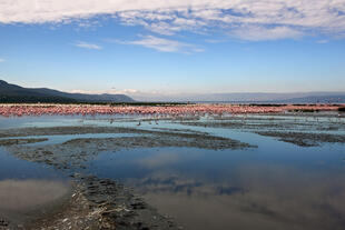 Ngorongoro-Krater