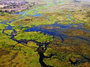 Okavango-Delta