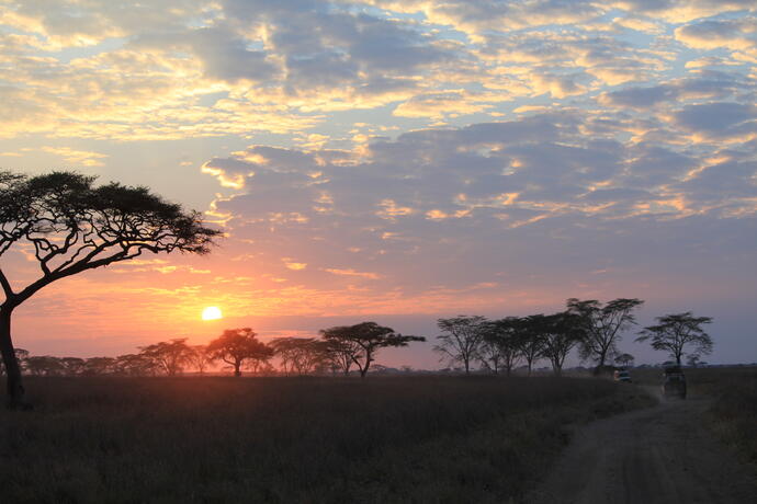 Sonnenuntergang in der Seregeti