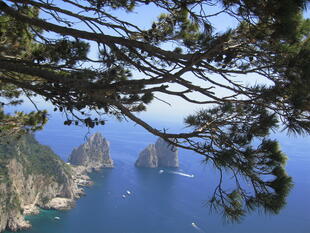 Ausblick auf Capri