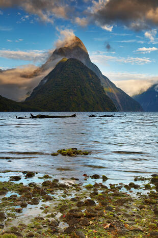 Milford Sound 