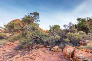 Rundweg um den Kings Canyon 