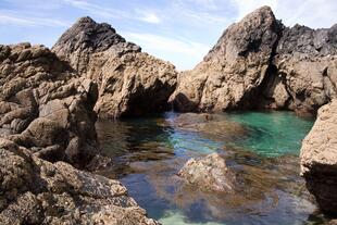 Felspool der Kynance Cove