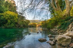 Fluss in Fontaine Vaucluse