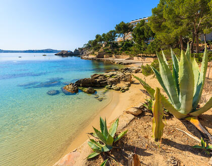 Cala Fornells 