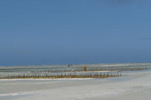 Strand von Sansibar