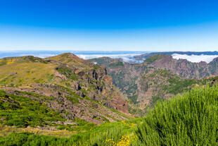 Pico do Arieiro