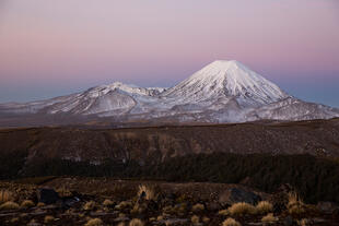 Blick auf Tongariro 