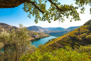 Douro-Tal