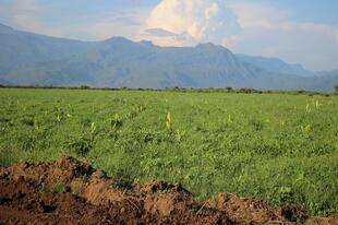 Landschaft in Arba Minch