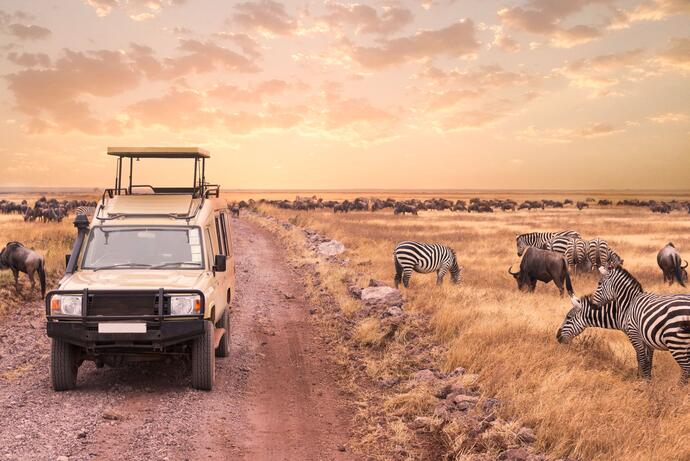 Safari Serengeti Nationalpark