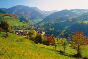 Schwarzwaldpanorama