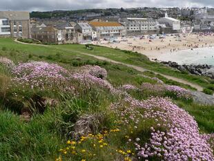 Blick auf St. Ives 