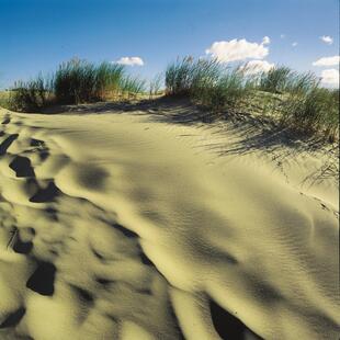 SlowinskiNationalpark Düne