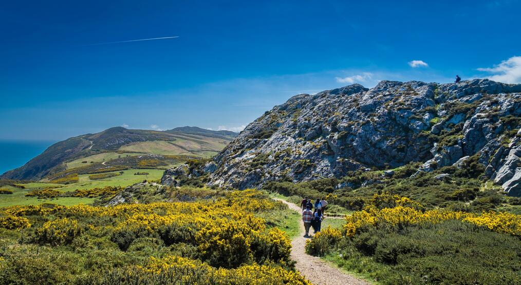 Wanderweg von Bray nach Greystone