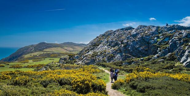 Wanderweg von Bray nach Greystone