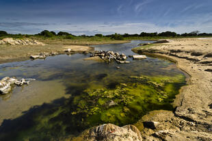 Yala Nationalpark