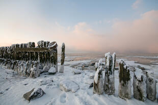 Das winterliche Wattenmeer