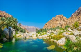 Wadi Tiwi