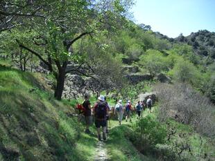 Wandern im Troodos-Gebirge