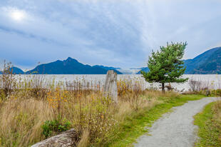 Wanderweg in Whistler 