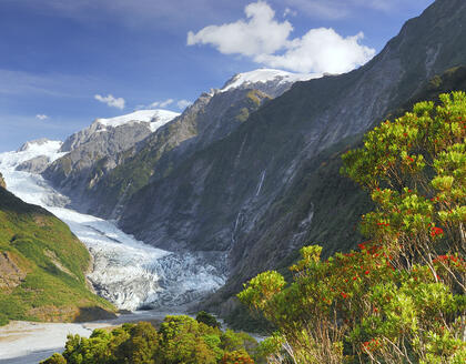 Franz Josef Glacier 