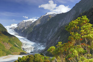 Franz Josef Glacier 