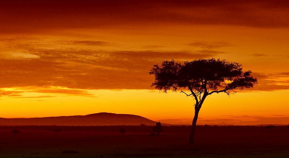 Sonnenuntergang über der Savanne