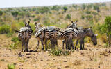 Tsavo Ost Nationalpark