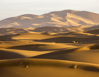 Blick über Erg Chebbi