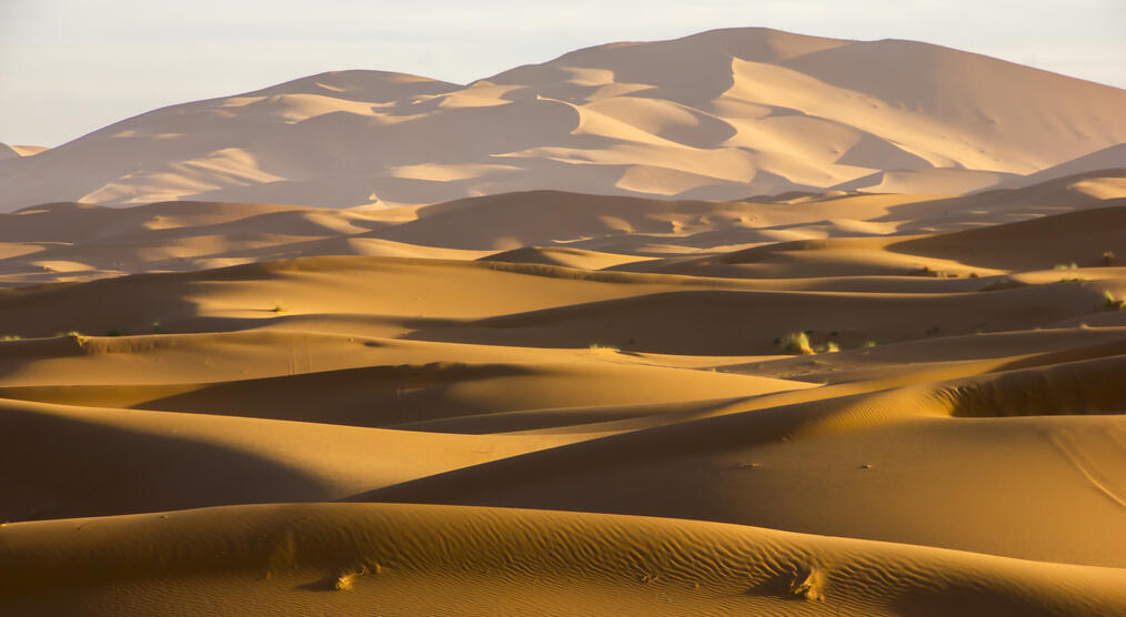 Blick über Erg Chebbi