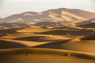 Blick über Erg Chebbi