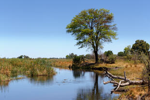 Caprivi Gebiet 