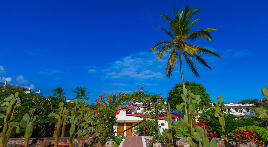 Hotel Fiesta in Puerto Ayora