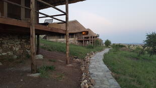 Mara River Post Bungalows