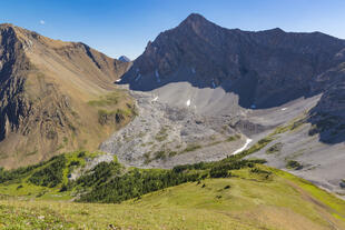 Rockies 