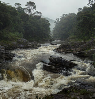 Fluss im Nationalpark