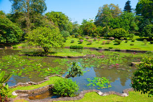 Botanischer Garten Perideniya 