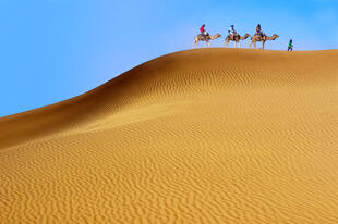 Kamelritt in Erg Chebbi