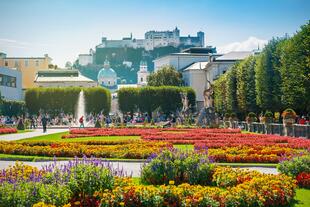 Mirabellgarten