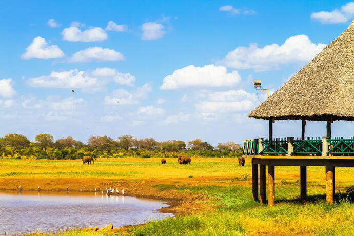 Tierbeobachtung Tsavo East