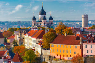 Ausblick auf den Toompea Hügel