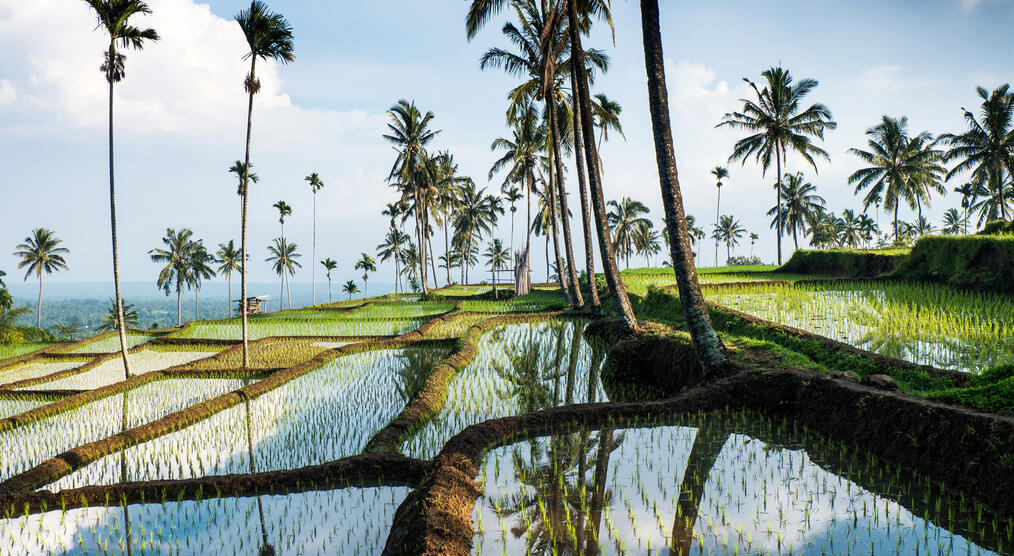 Lombok Reisen