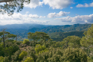 Troodos Berge