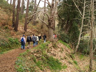 Wandergruppe in einer typischen Levada