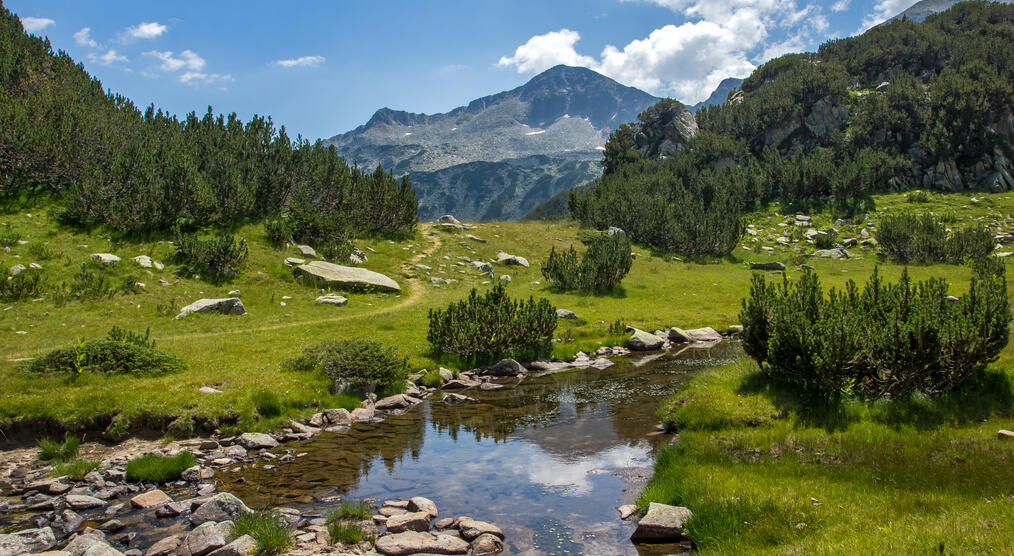 Pirin Gebirge