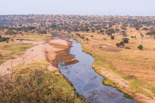 Tarangire_Nationalpark