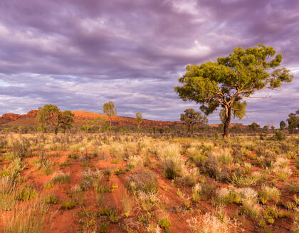 Watarrka National Park 